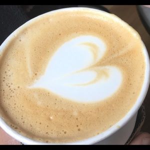 Meet your Posher, Jamila